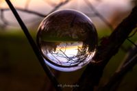 Lensball_Ast