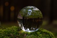 Lensball_Wald